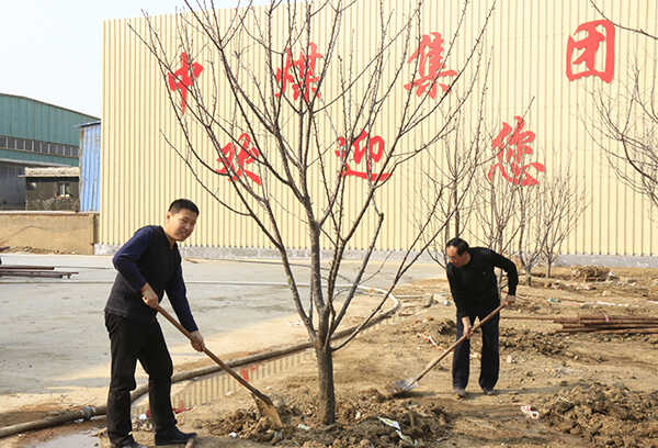 山东中煤集团新工业园区举行绿化植树活动